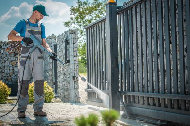 Best Solar Panel Cleaning  in Raymondville, TX