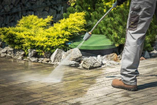 Professional  Pressure Washing Services in Raymondville, TX