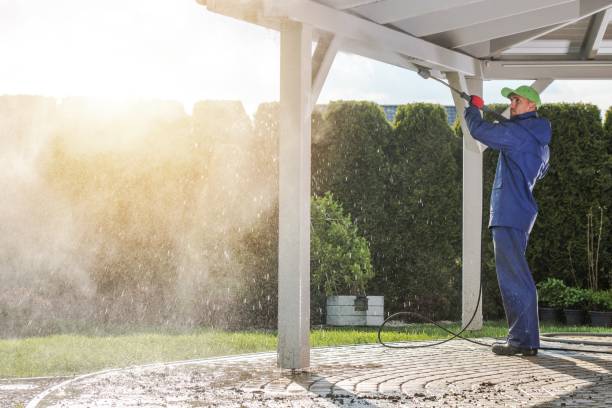 Best Patio and Deck Pressure Washing  in Raymondville, TX