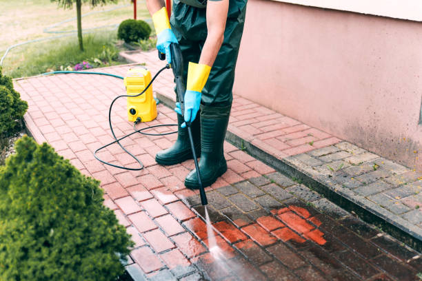 Best Driveway Pressure Washing  in Raymondville, TX
