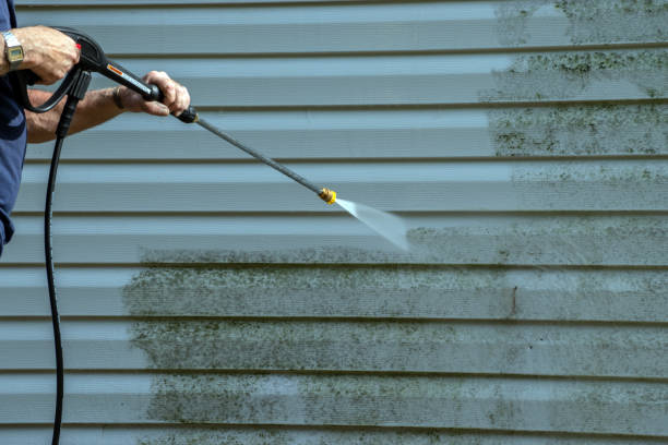 Best Restaurant Pressure Washing  in Raymondville, TX